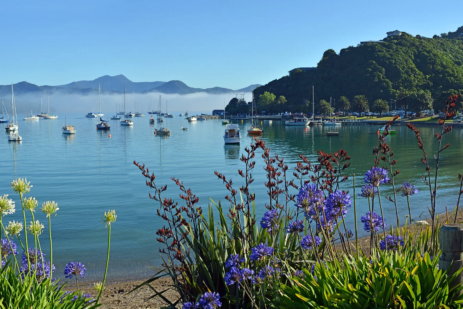 Nelson, Marlborough & Kaikoura holidays