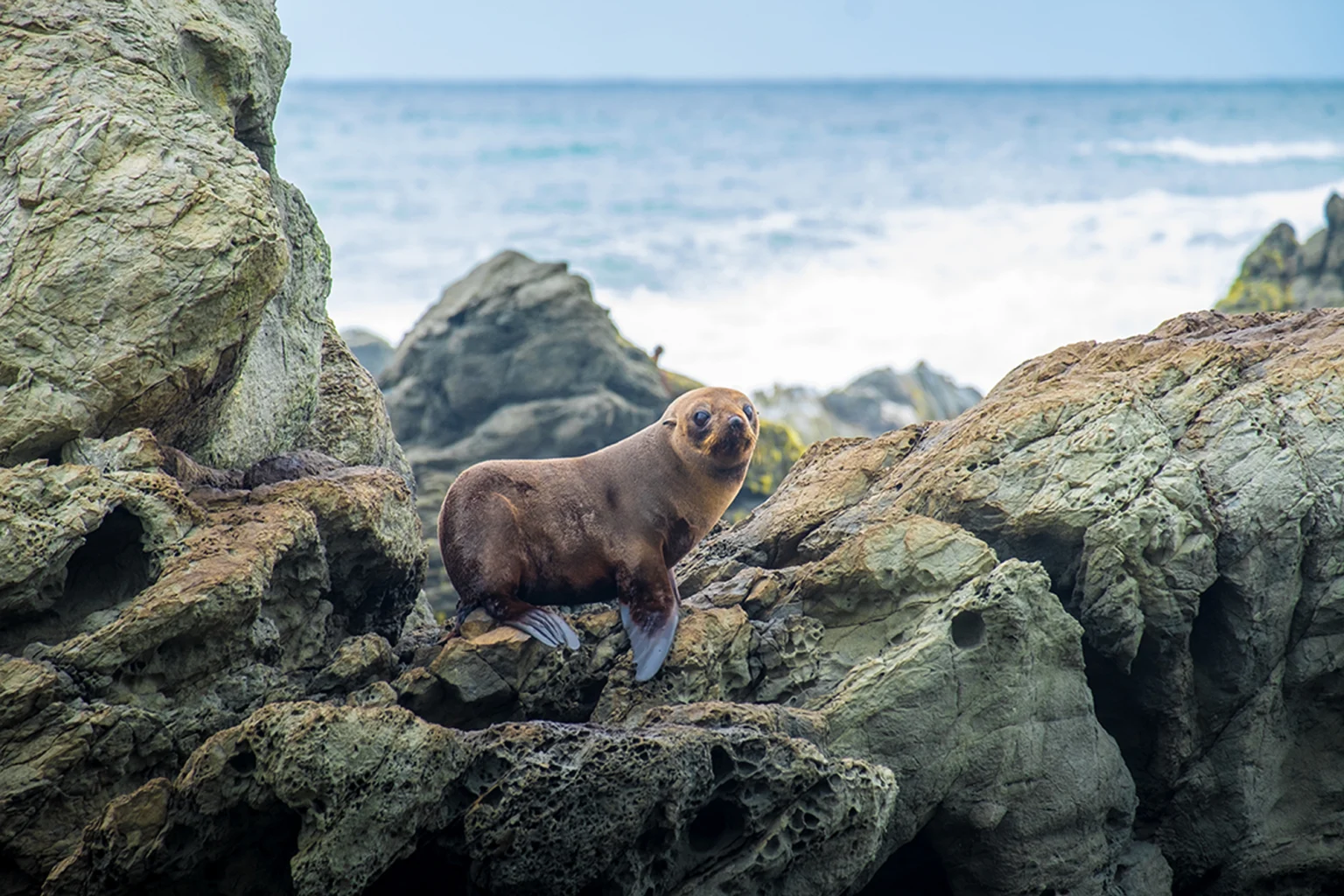 Dunedin, Invercargill & Stewart Island holidays
