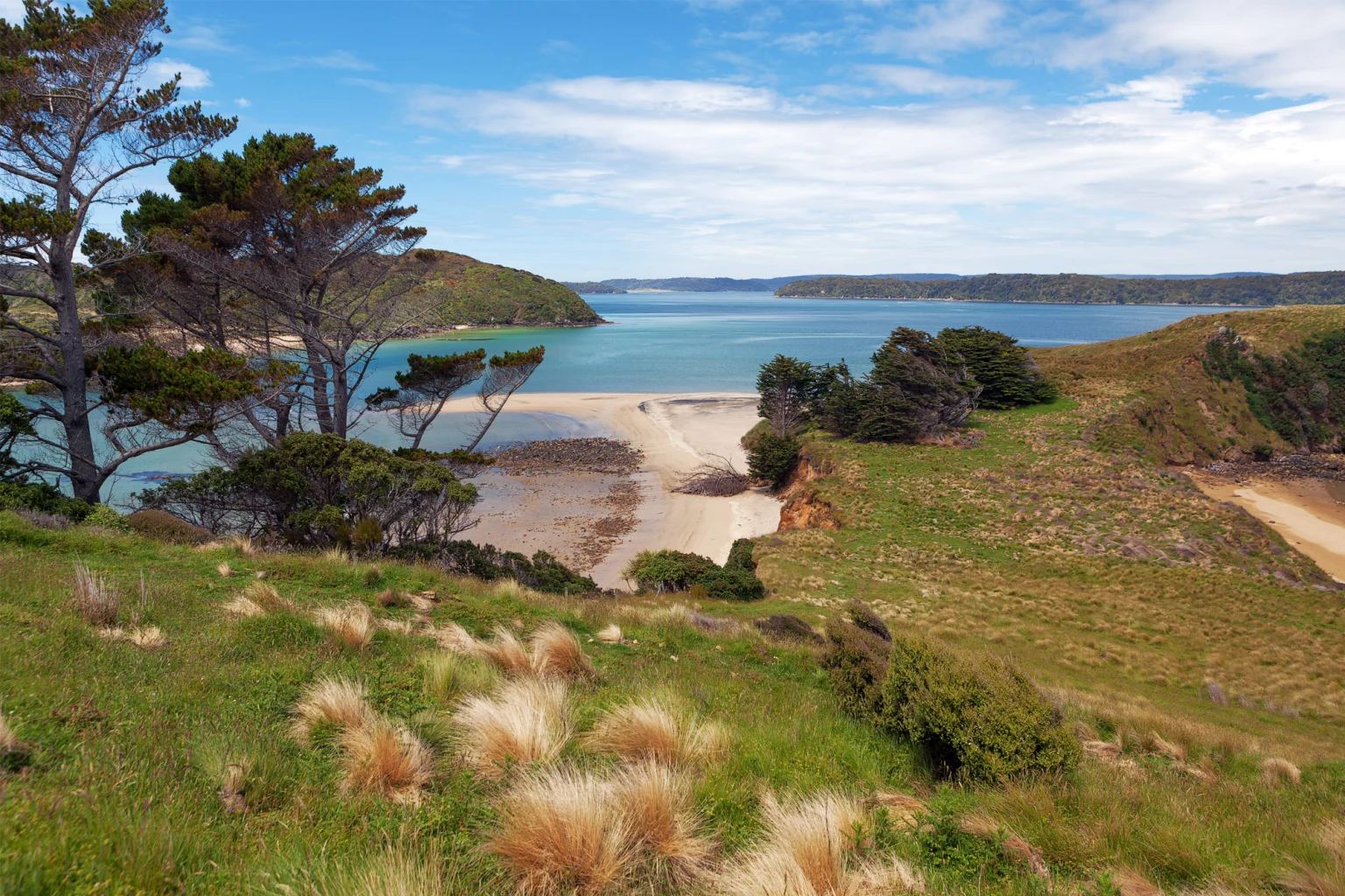 Dunedin, Invercargill & Stewart Island holidays