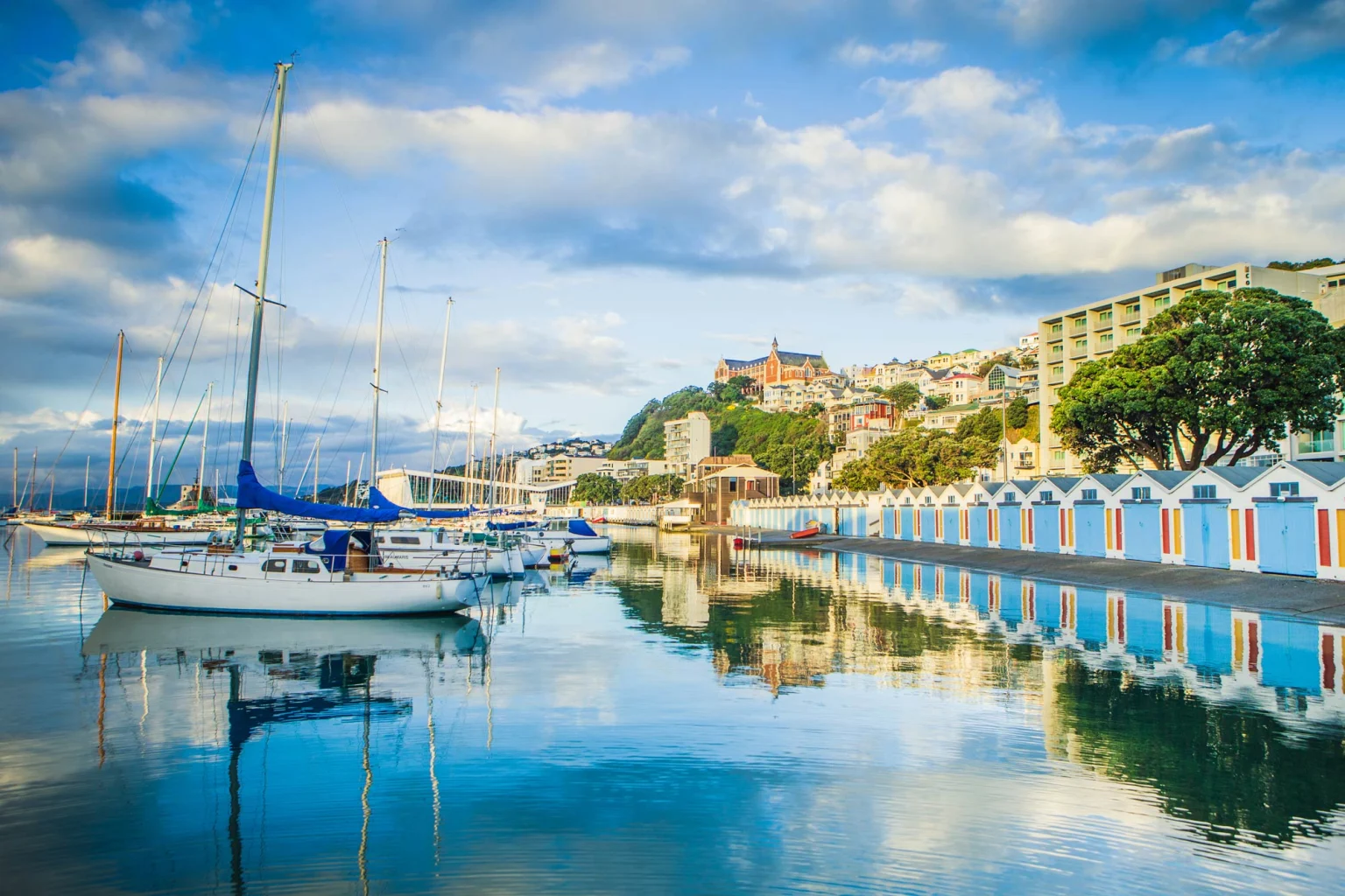 Wellington holidays