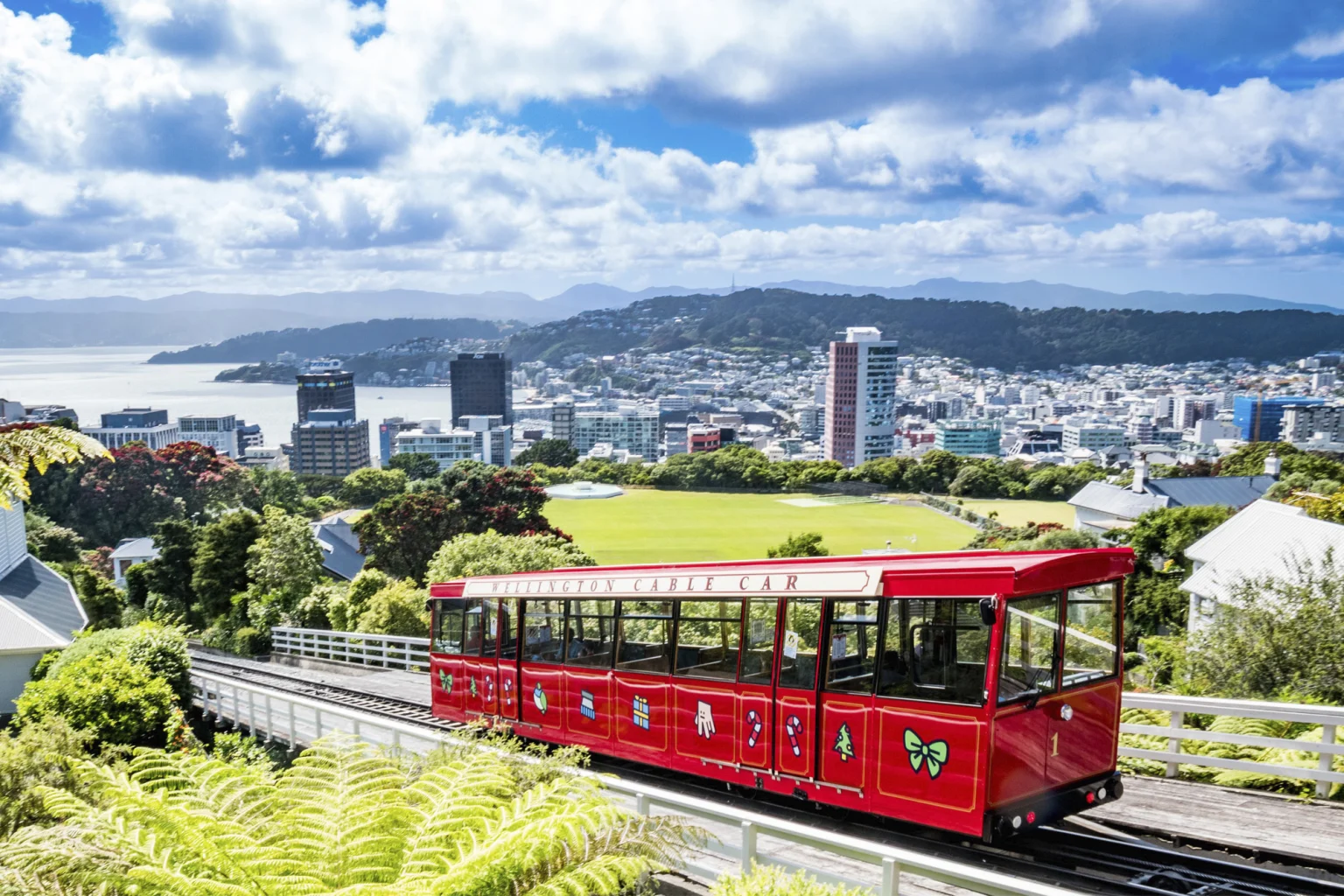 Wellington holidays