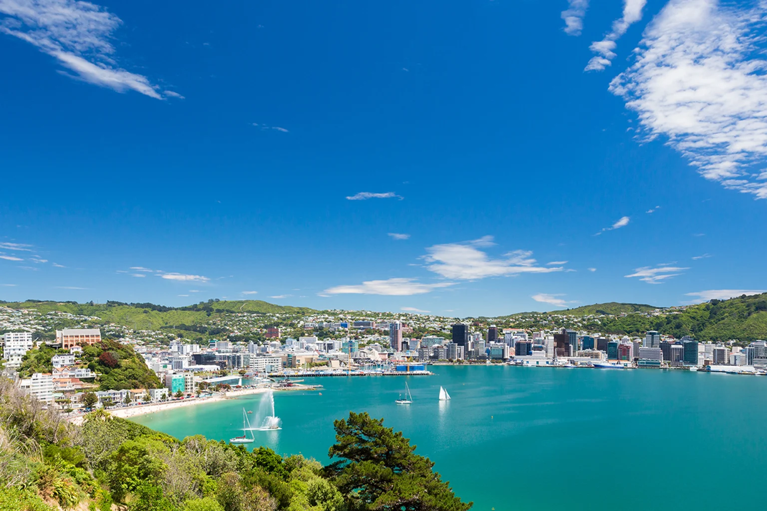 Wellington holidays