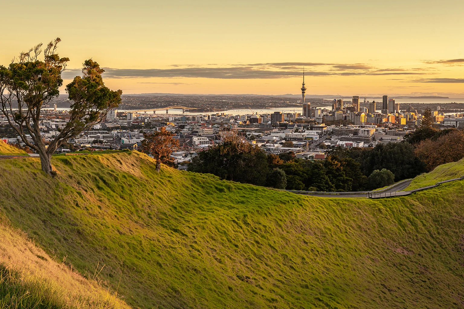 Auckland holidays
