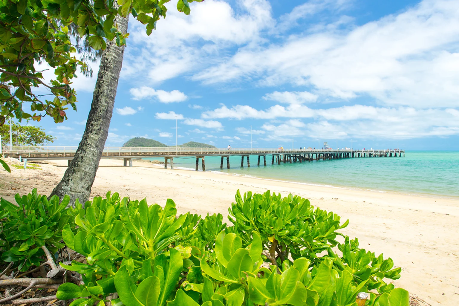 Port Douglas & Palm Cove holidays