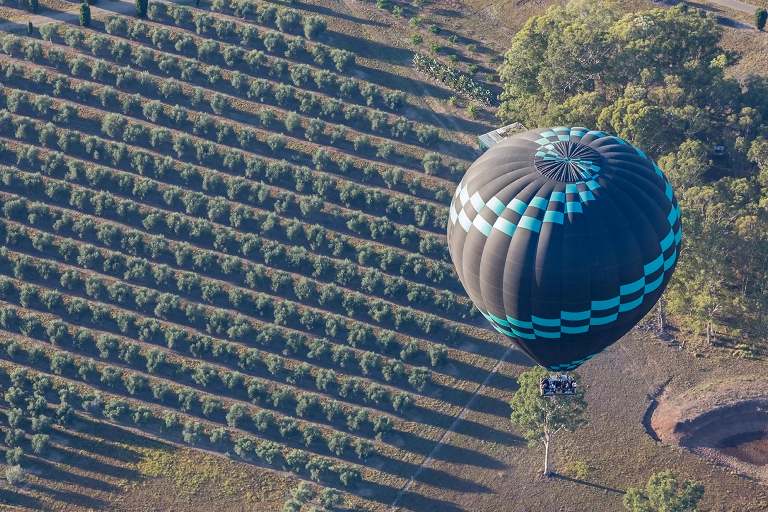 Hunter Valley holidays