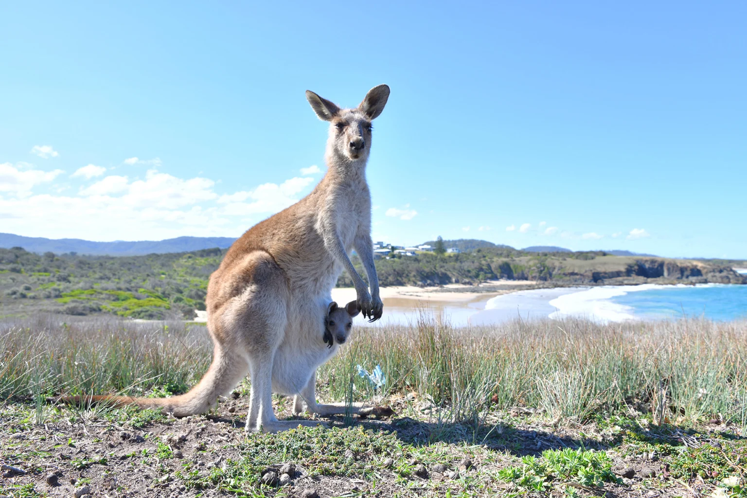 New South Wales holidays
