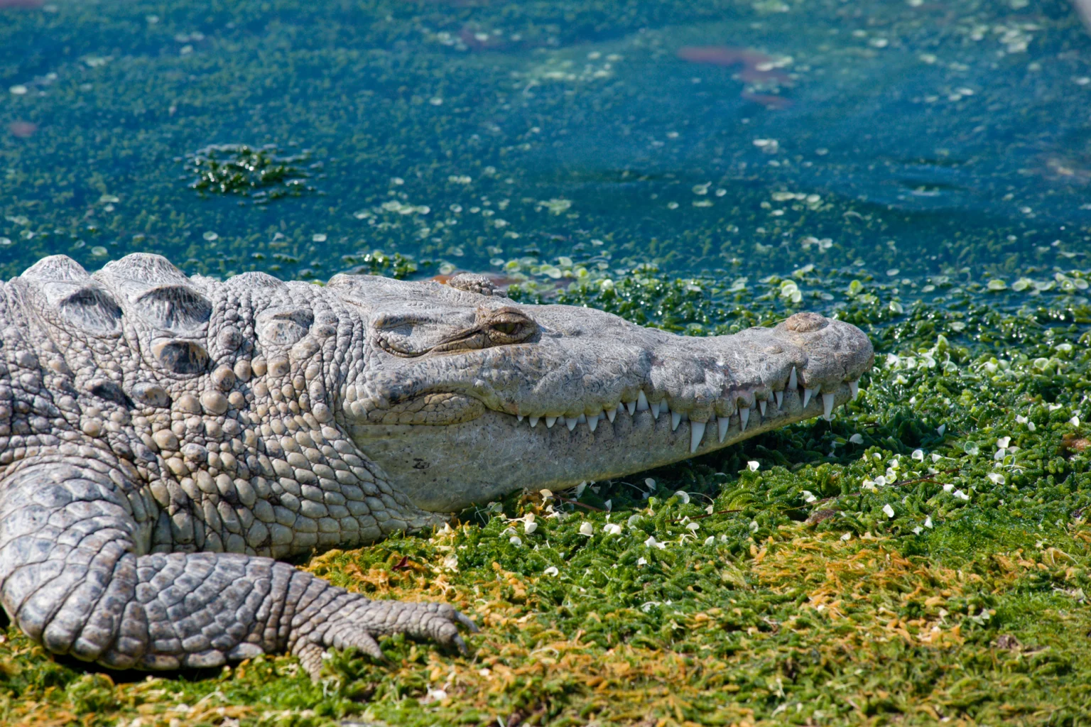 Northern Territory holidays