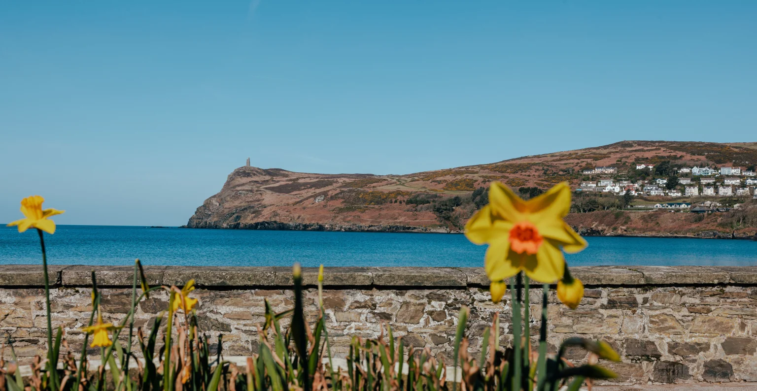 port erin in spring