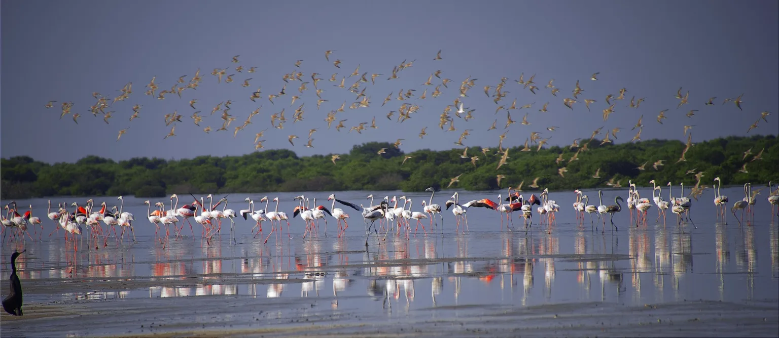 Ajman holidays