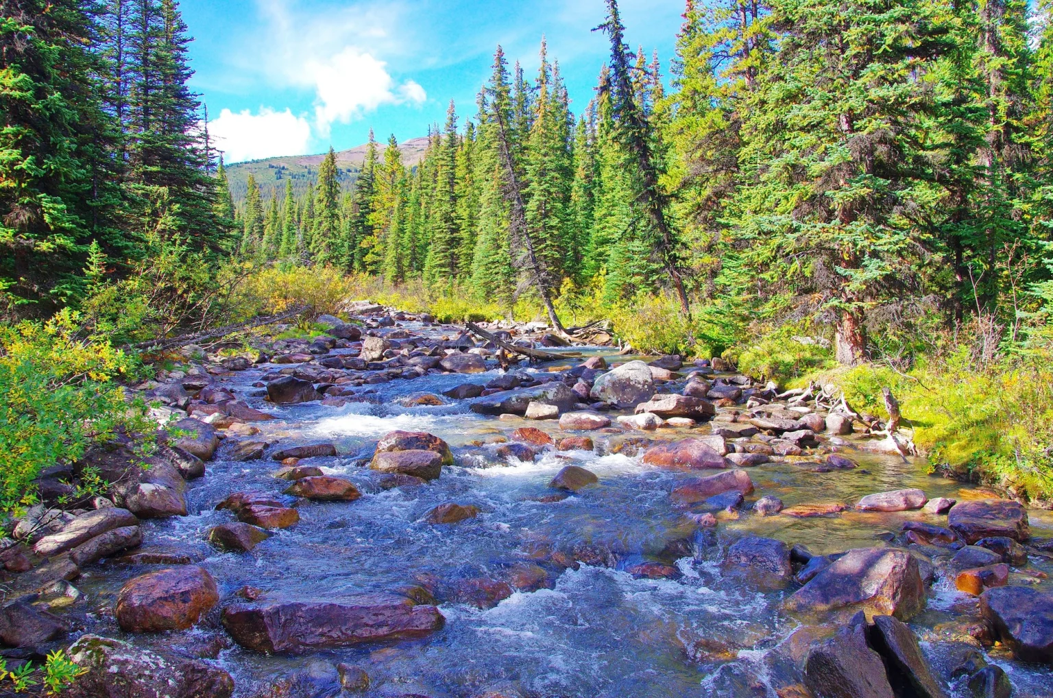 Alberta