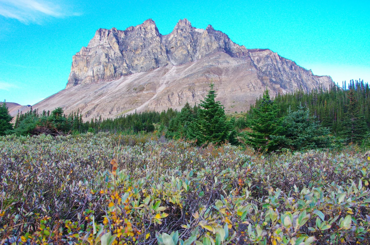 Alberta