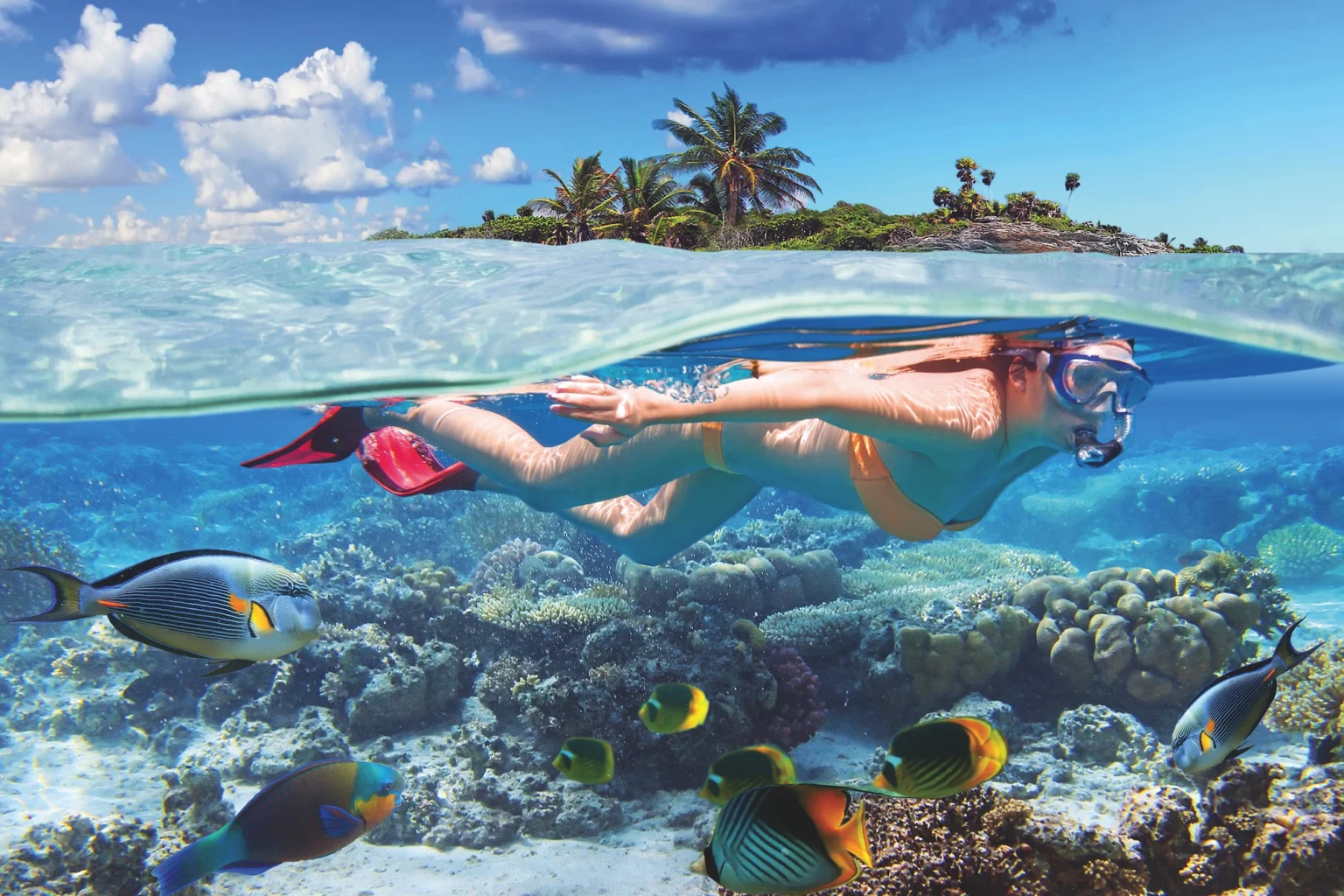 Maldives snorkelling