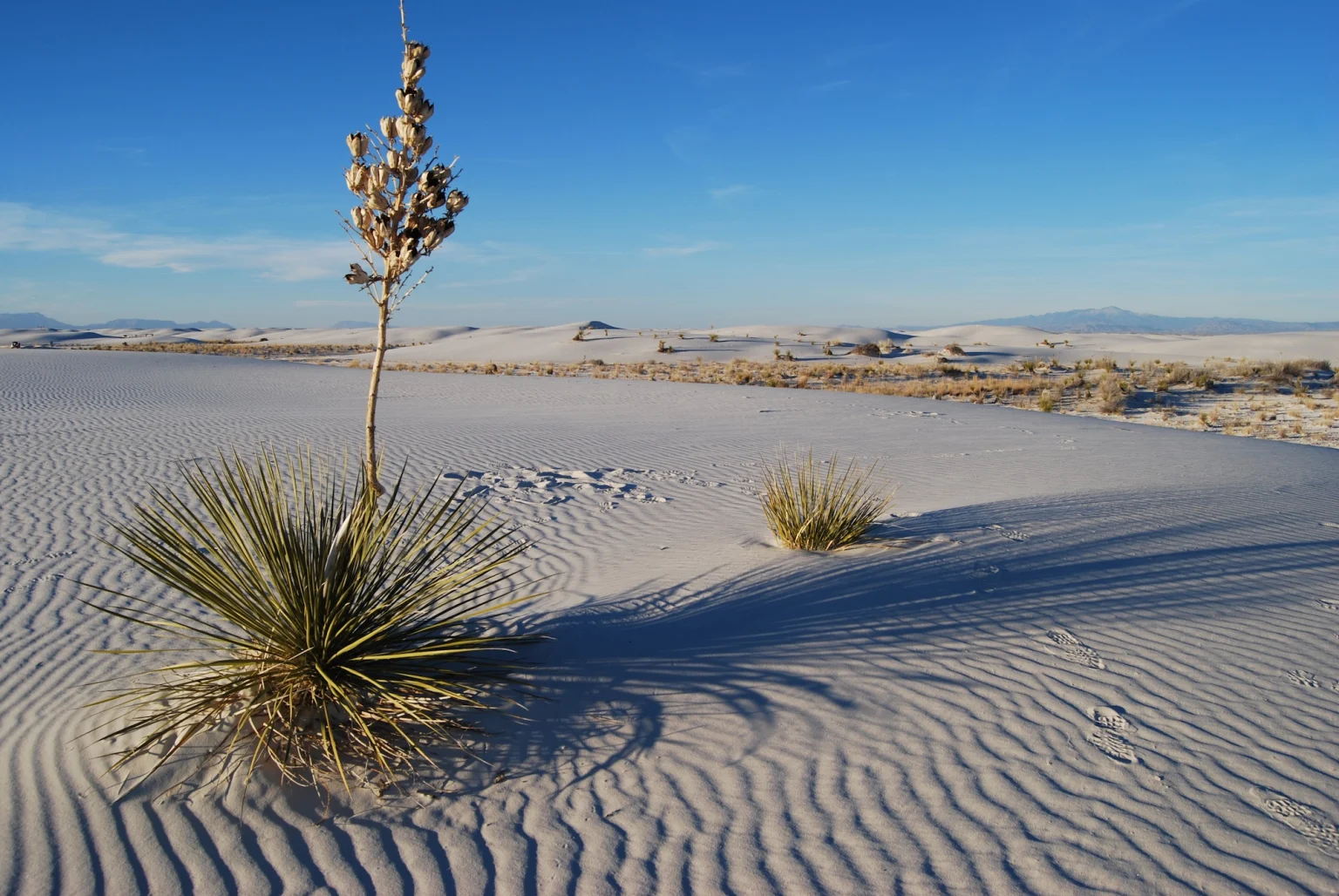 White Sands NP New Mexico_shutterstock_1798399144.jpg