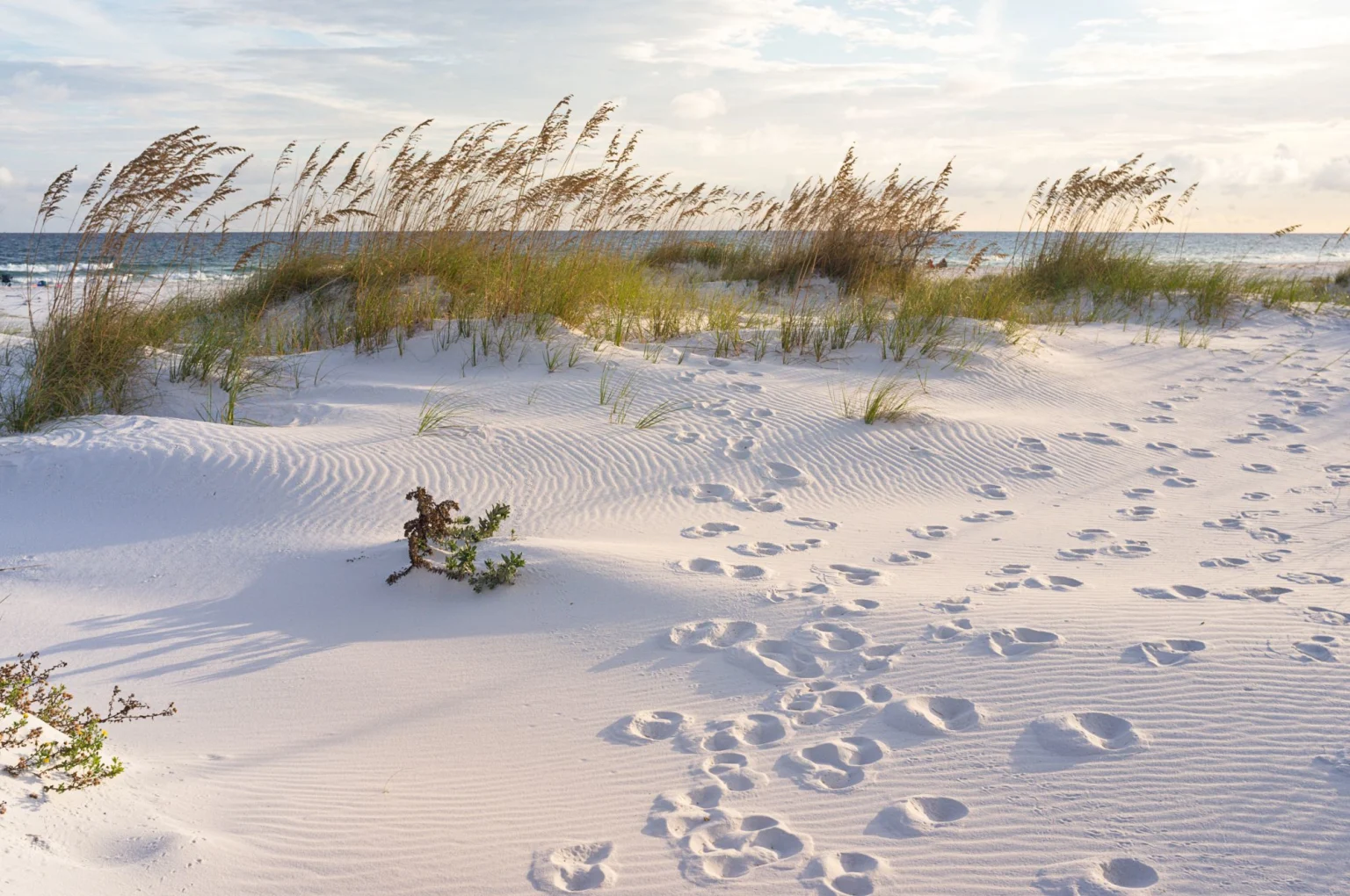 Pensacola Florida shutterstock