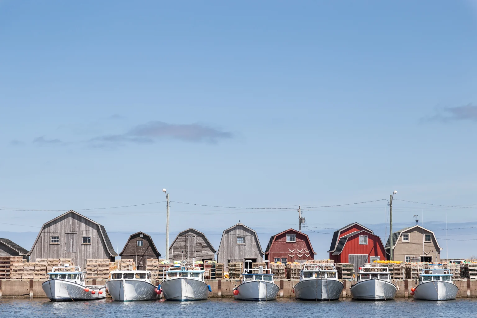 Malpeque Harbour