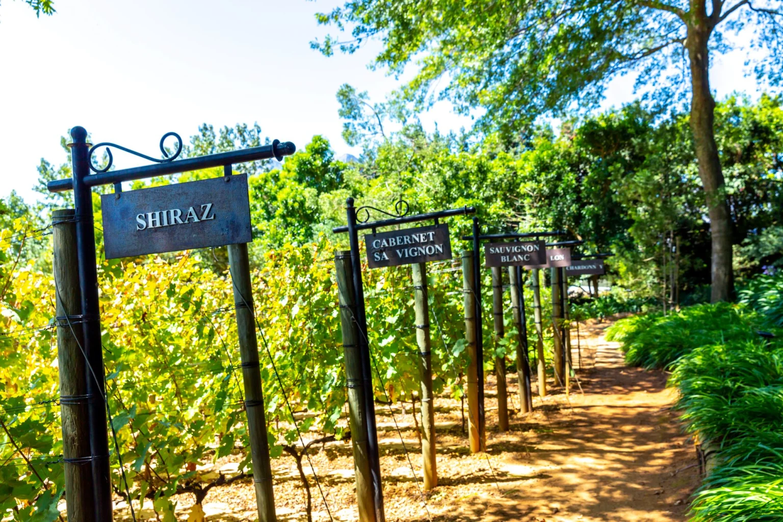 South Africa Winelands