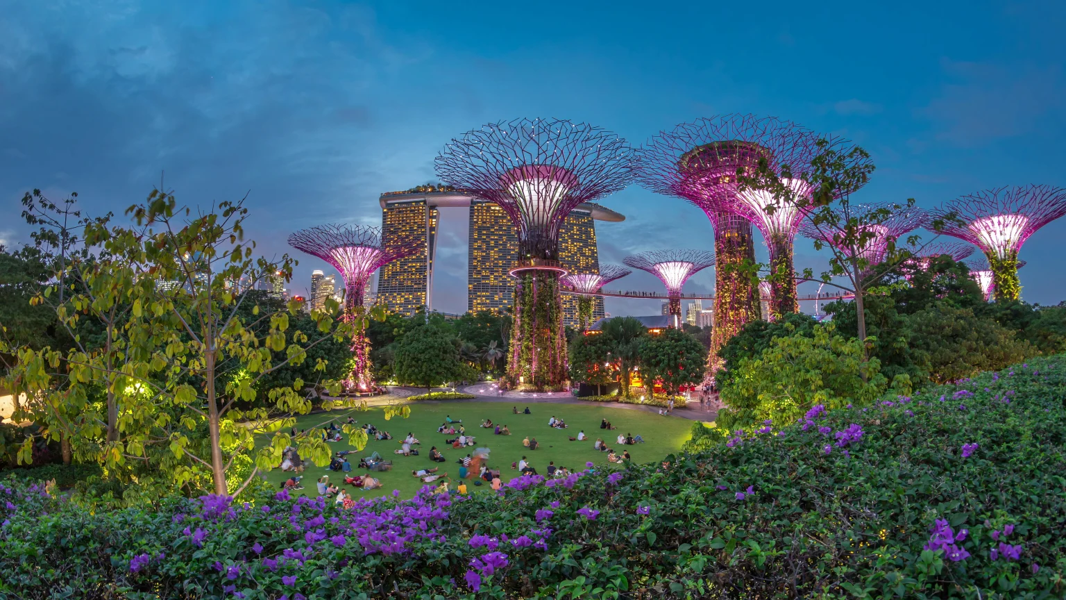 Singapore trees at night.