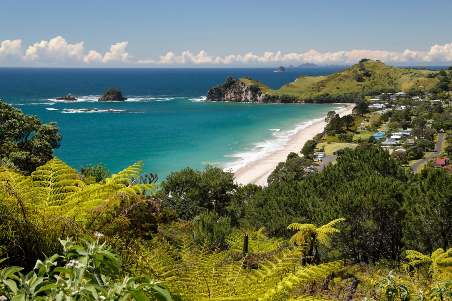 The coromandel and waikato.