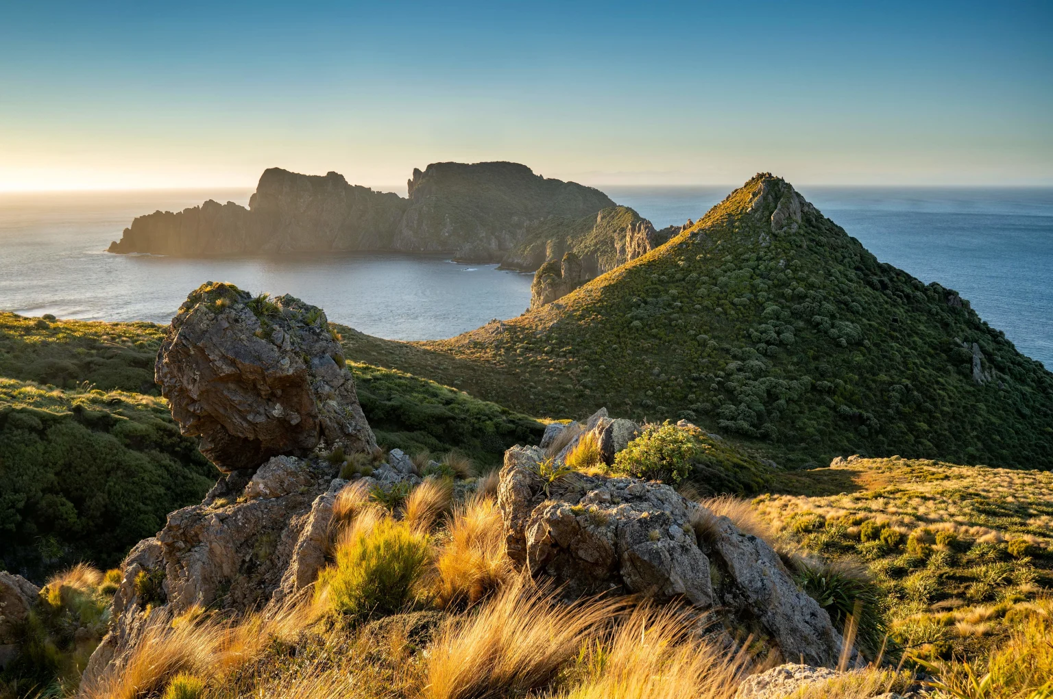 New Zealand