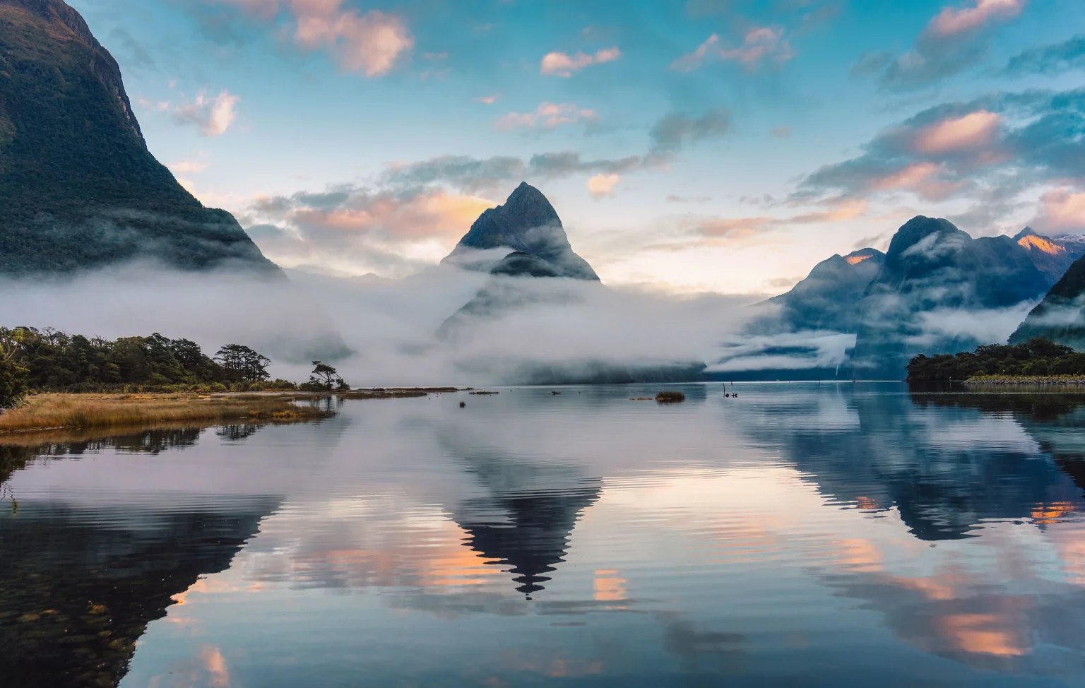 new zealand