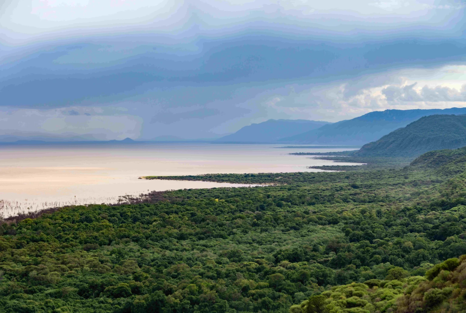 Lake manyara landscape.