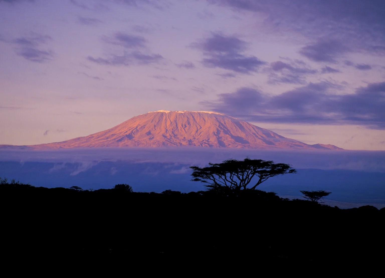 Kilimanjaro at sunrise.