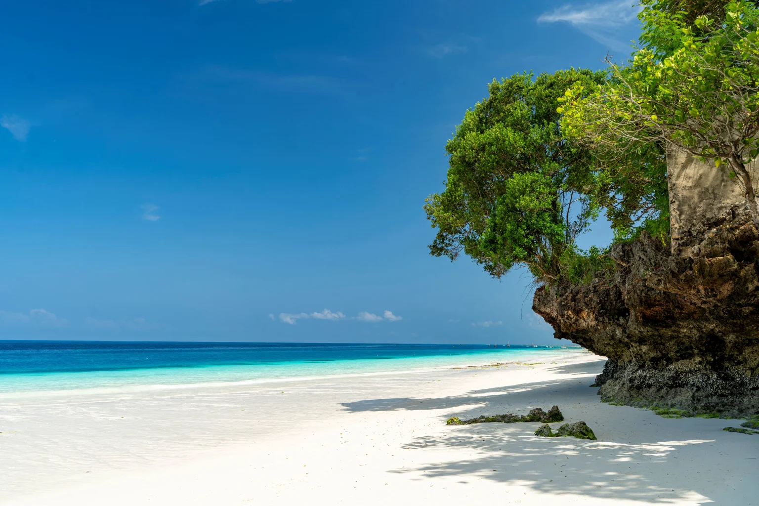 Zanzibar beach.