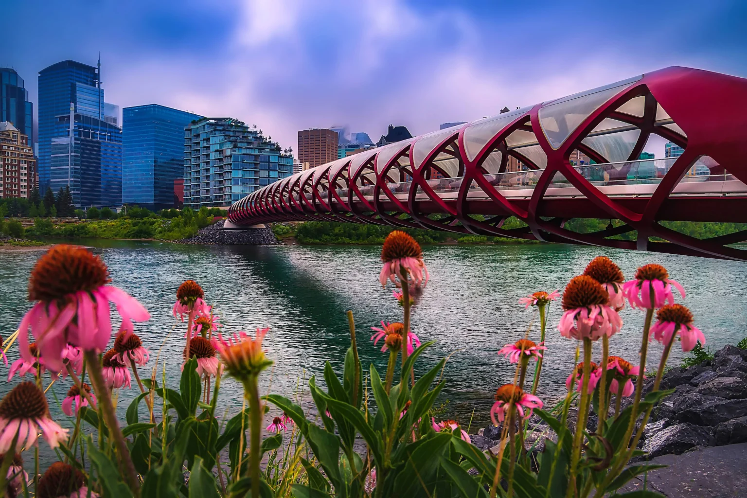 Calgary Peace Bridge.