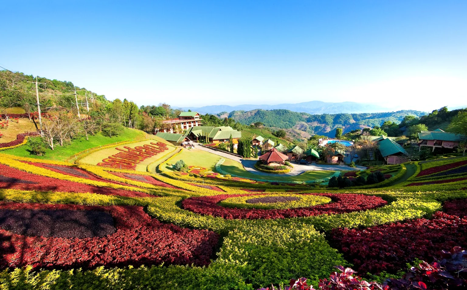 Chiang Rai-Doi Mae Salong