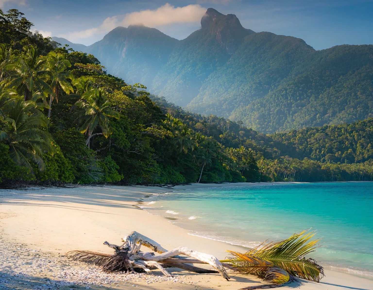 Beach and mountain Cape Tribulation.