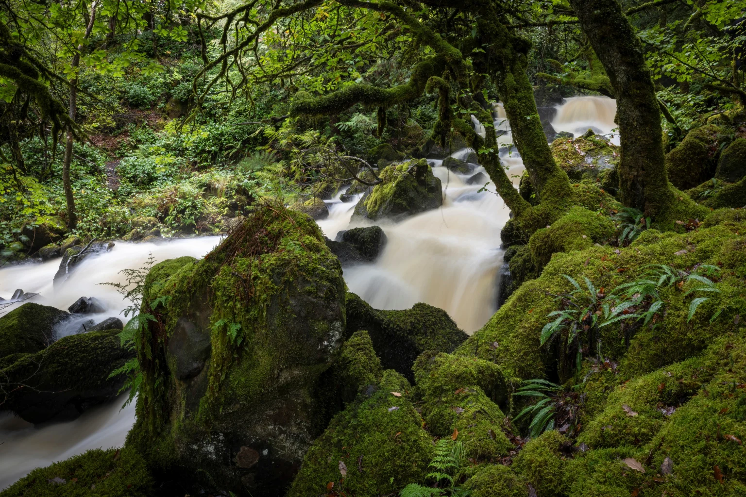 aros_park_on_the_isle_of_mull