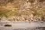 beach_isle_of_mull