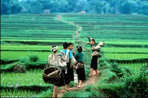 Mai Chau girls