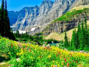 Montana Glacier NP
