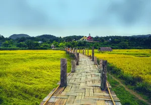Bamboo Bridge, Pai