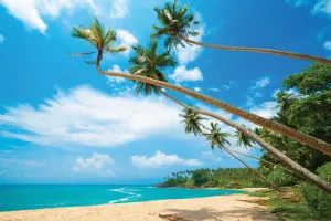South West Coast Beaches holidays