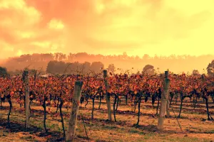 Hunter Valley holidays