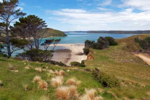 Dunedin, Invercargill & Stewart Island holidays