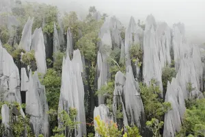 Gunung Mulu National Park shutterstock