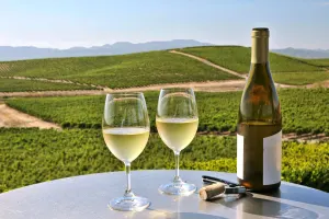 Napa Valley wine glasses