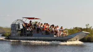 Airboat Swamp Tour