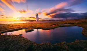 Sunset on Fayerweather Island in Bridgeport, Connecticut