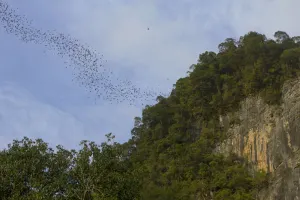 Gunung Mulu National Park holidays