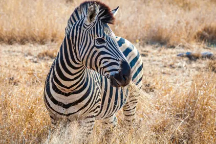 Kruger National Park