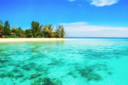 Glimpses of Borneo