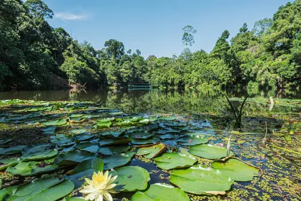 Sandakan Wildlife Adventure Tour