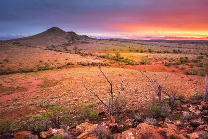 Red Centre Escape