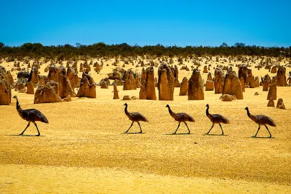 Highlights of Australia & New Zealand