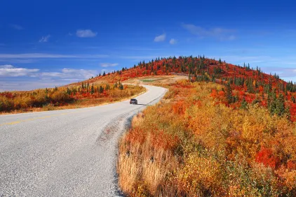 Alaska & Yukon Highlights