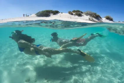 Western Australia Explorer